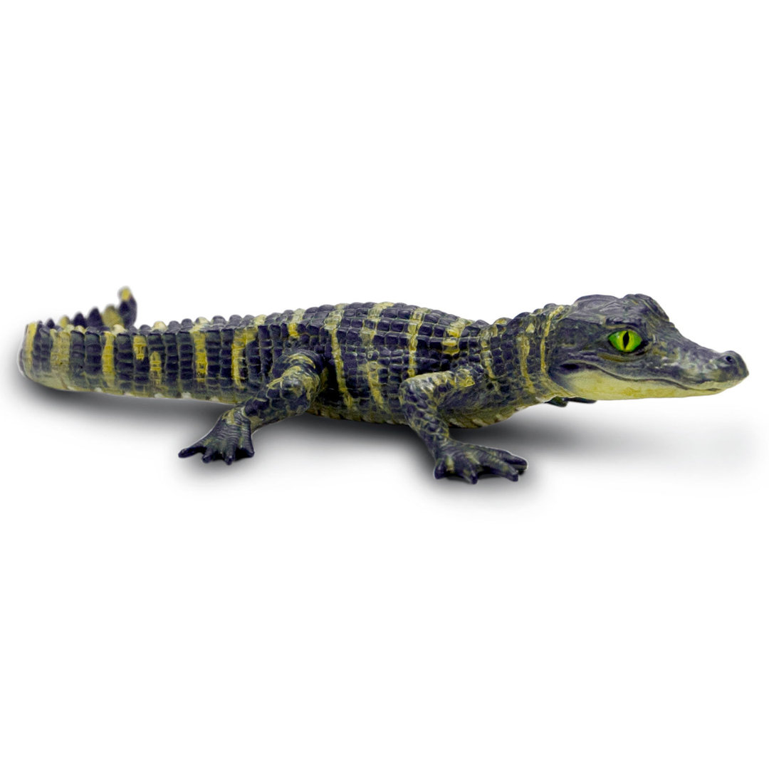 Safari Ltd S101073 - Alligator Baby (Neuheit 2022) 